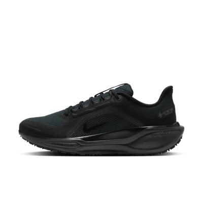 Nike Pegasus 41 GORE-TEX 