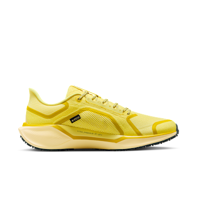 Nike Pegasus 41 GORE-TEX 