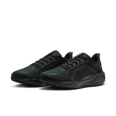 Nike Pegasus 41 GORE-TEX 