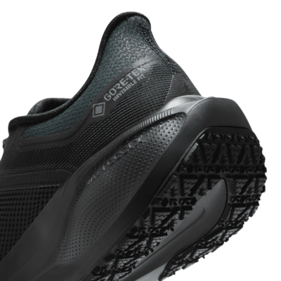 Nike Pegasus 41 GORE-TEX 