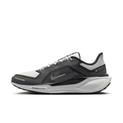 Nike Pegasus 41 GORE-TEX 