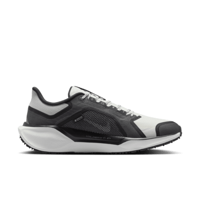 Nike Pegasus 41 GORE-TEX 
