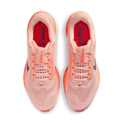 Nike Pegasus Premium 