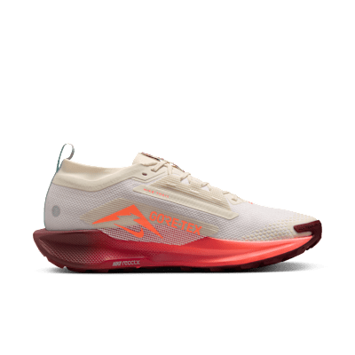 Nike Pegasus Trail 5 GORE-TEX 