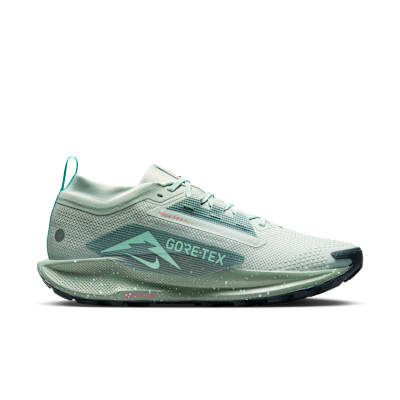 Nike Pegasus Trail 5 GORE-TEX 