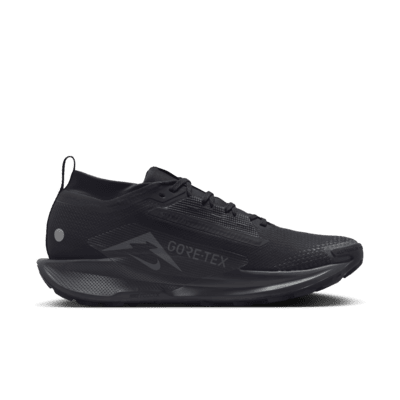 Nike Pegasus Trail 5 GORE-TEX 