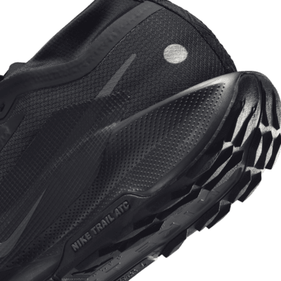 Nike Pegasus Trail 5 GORE-TEX 