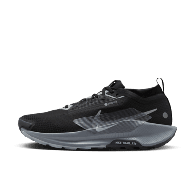 Nike Pegasus Trail 5 GORE-TEX 