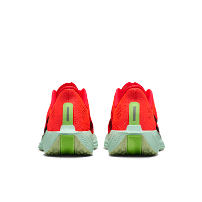 Nike Pegasus Plus 