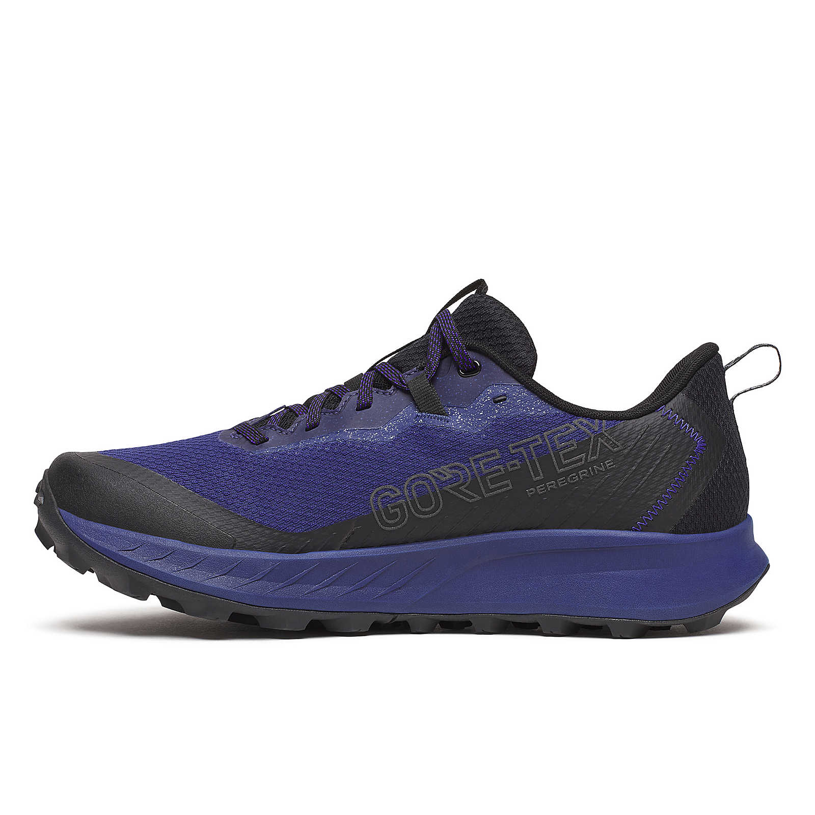 Peregrine 15 GTX voor heren